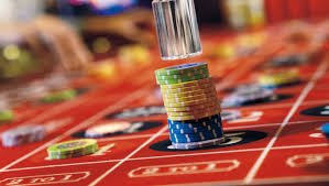 baizhu Domino QQ dealer studio and tile shuffling process